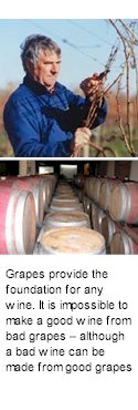 http://www.babichwines.co.nz/ - Babich - Top Australian & New Zealand wineries