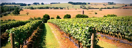 http://www.bassphillip.com/ - Bass Phillip - Top Australian & New Zealand wineries