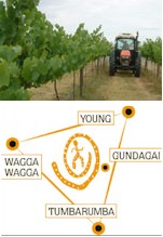 http://www.bidgeebong.com.au/ - Bidgeebong - Top Australian & New Zealand wineries
