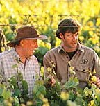 http://www.brooklandvalley.com.au/ - Brookland Valley - Top Australian & New Zealand wineries