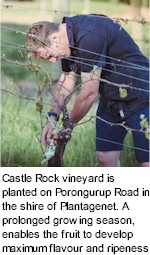 More on the Castle Rock Winery