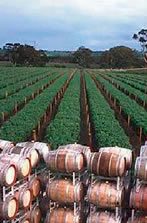 http://www.charlesmeltonwines.com.au/ - Charles Melton - Top Australian & New Zealand wineries