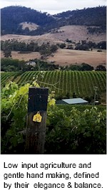 http://www.chwine.com.au/ - Clarence House - Top Australian & New Zealand wineries