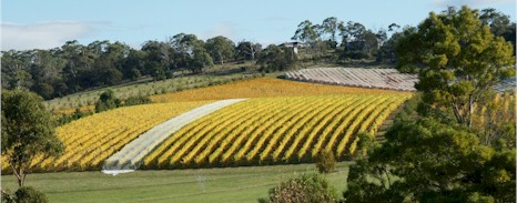 http://www.chwine.com.au/ - Clarence House - Top Australian & New Zealand wineries