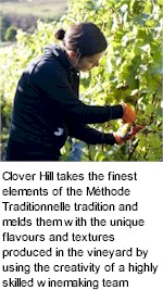 More About Clover Hill Wines