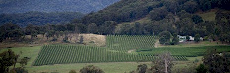 http://edenroadwines.com.au/ - Eden Road - Top Australian & New Zealand wineries