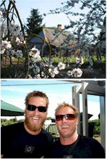 More on the Gibson Winery