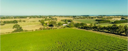 http://www.irrewarravineyard.com.au/ - Irrewarra - Top Australian & New Zealand wineries