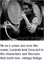 More About Lucinda Wines