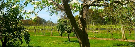 https://www.merricksestate.com.au/ - Merricks Estate - Top Australian & New Zealand wineries