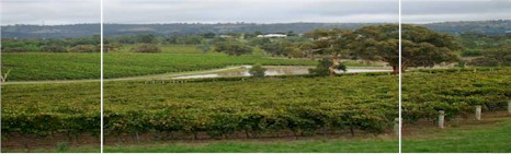 http://www.mocandundavineyards.com.au/ - Mocandunda - Top Australian & New Zealand wineries