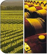 http://www.montanawines.co.nz/ - Montana - Top Australian & New Zealand wineries