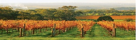 http://www.pennyshill.com.au/ - Pennys Hill - Top Australian & New Zealand wineries