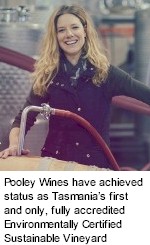 More About Pooley Winery