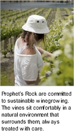 About Prophets Rock Wines