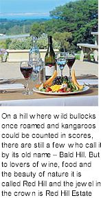 http://www.redhillestate.com.au/ - Red Hill Estate - Top Australian & New Zealand wineries