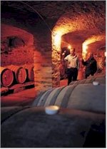 https://www.sevenhill.com.au/ - Sevenhill - Top Australian & New Zealand wineries