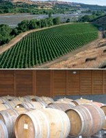http://www.villamaria.co.nz/ - Villa Maria - Top Australian & New Zealand wineries
