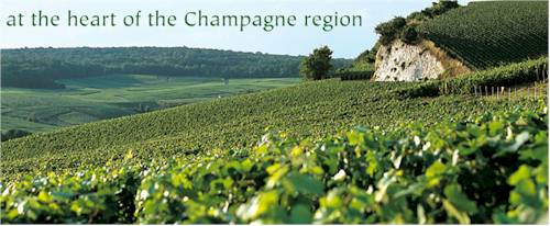 http://www.champagne-bollinger.fr/ - Bollinger - Top Australian & New Zealand wineries