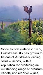 http://www.coldstreamhills.com.au/ - Coldstream Hills - Top Australian & New Zealand wineries
