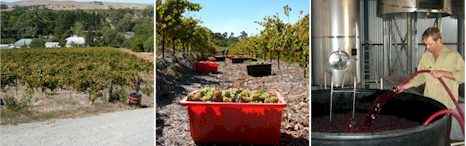 http://www.crabtreewines.com.au/ - Crabtree - Top Australian & New Zealand wineries