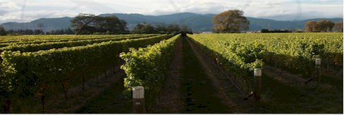 http://www.craggyrange.com/ - Craggy Range - Top Australian & New Zealand wineries