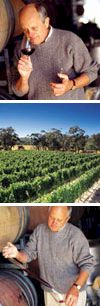 http://www.crittendenwines.com.au/ - Crittenden - Top Australian & New Zealand wineries