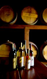 http://www.cullenwines.com.au/ - Cullen - Top Australian & New Zealand wineries