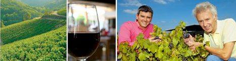 http://www.duboeuf.com/ - Georges Duboeuf - Top Australian & New Zealand wineries