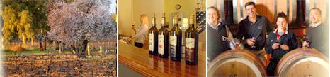 http://www.eldertonwines.com.au/ - Elderton - Top Australian & New Zealand wineries