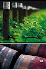 http://www.evansandtate.com.au/ - Evans Tate - Top Australian & New Zealand wineries