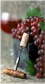 About Freycinet Winery