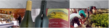 http://www.grampiansestate.com.au/ - Grampians Estate - Top Australian & New Zealand wineries