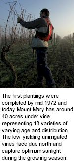 More About Mount Mary Wines