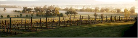 http://www.mountmary.com.au/ - Mount Mary - Top Australian & New Zealand wineries