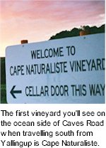 More on the Cape Naturaliste Winery