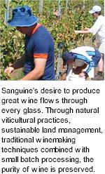 More About Sanguine Wines