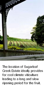 More About Sugarloaf Creek Wines