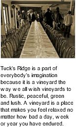 More About Tucks Ridge Wines