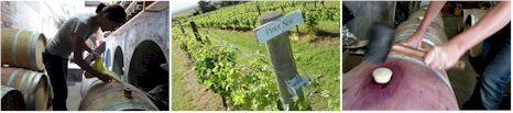 http://www.wantirnaestate.com.au/ - Wantirna Estate - Top Australian & New Zealand wineries