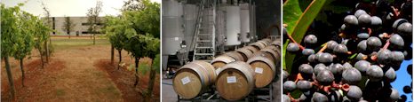 http://witchmount.com.au/ - Witchmount - Top Australian & New Zealand wineries