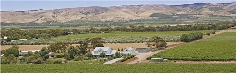 http://aramisvineyards.com/ - Aramis - Top Australian & New Zealand wineries