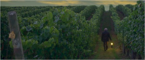 http://houseofarras.com.au/ - Arras - Top Australian & New Zealand wineries