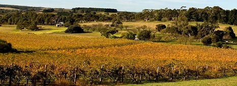 http://www.chalkhill.com.au/ - Chalk Hill - Top Australian & New Zealand wineries