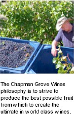 About Chapman Grove Wines
