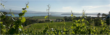 http://www.coalvalley.com.au/ - Coal Valley Vineyard - Top Australian & New Zealand wineries