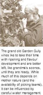 About Garden Gully Wines