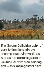 About Golden Ball Winery