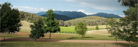 http://www.mayfordwines.com/ - Mayford - Top Australian & New Zealand wineries