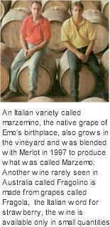 About Michelini Winery